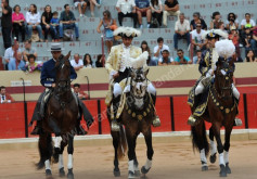 Imagens da corrida de Abiul  02-08-2014